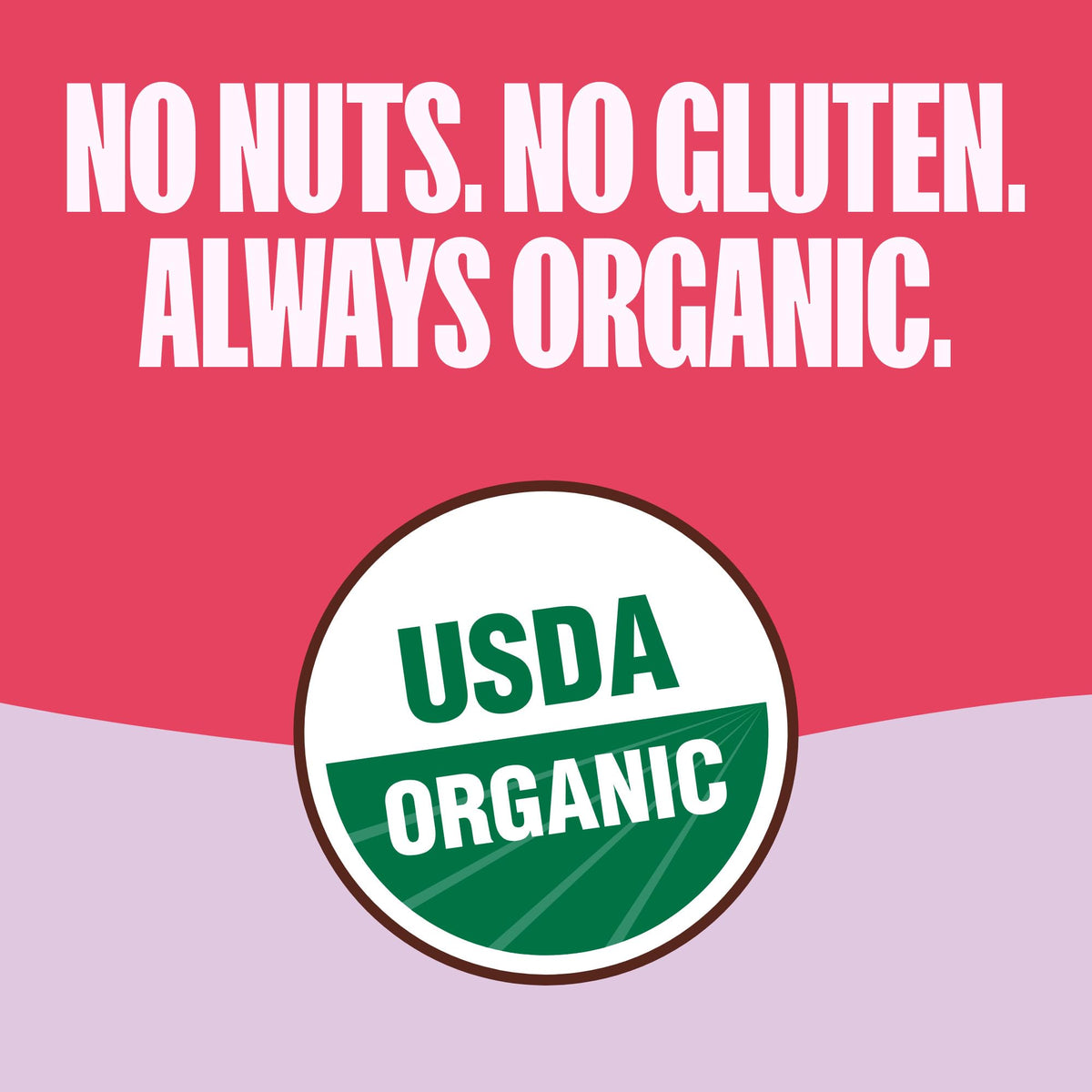 MadeGood Granola Bites Chocolate Chip & Strawberry Variety Pack (28 Count) Gluten Free and Organic Snacks