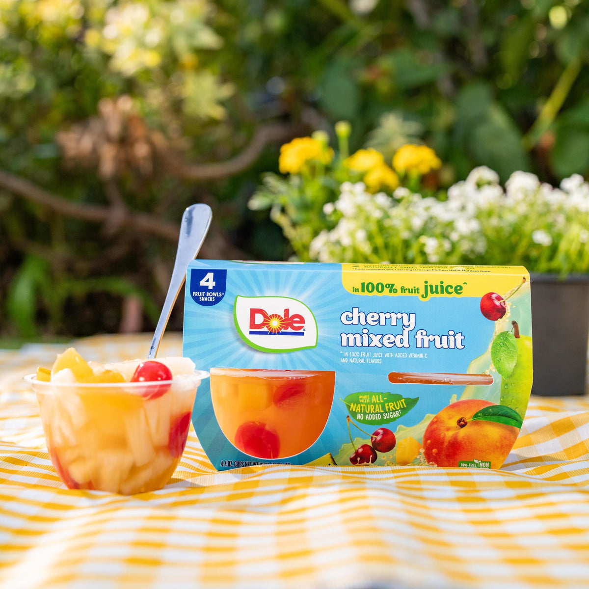 Dole Fruit Bowls No Sugar Added Snacks, Cherry Mixed Fruit 4oz 24 Cups, Gluten & Dairy Free, Bulk Lunch Snacks for Kids & Adults